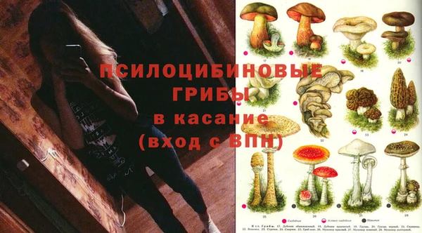 соль ск Мамадыш