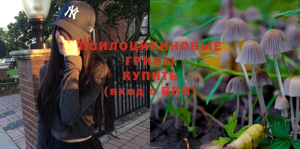 mdma Дубна