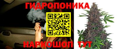 MDMA Кандалакша