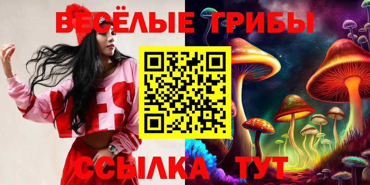 Псилоцибиновые грибы мухоморы  Вход с VPN  Лиски  Псилоцибиновые грибы GOLDEN TEACHER 